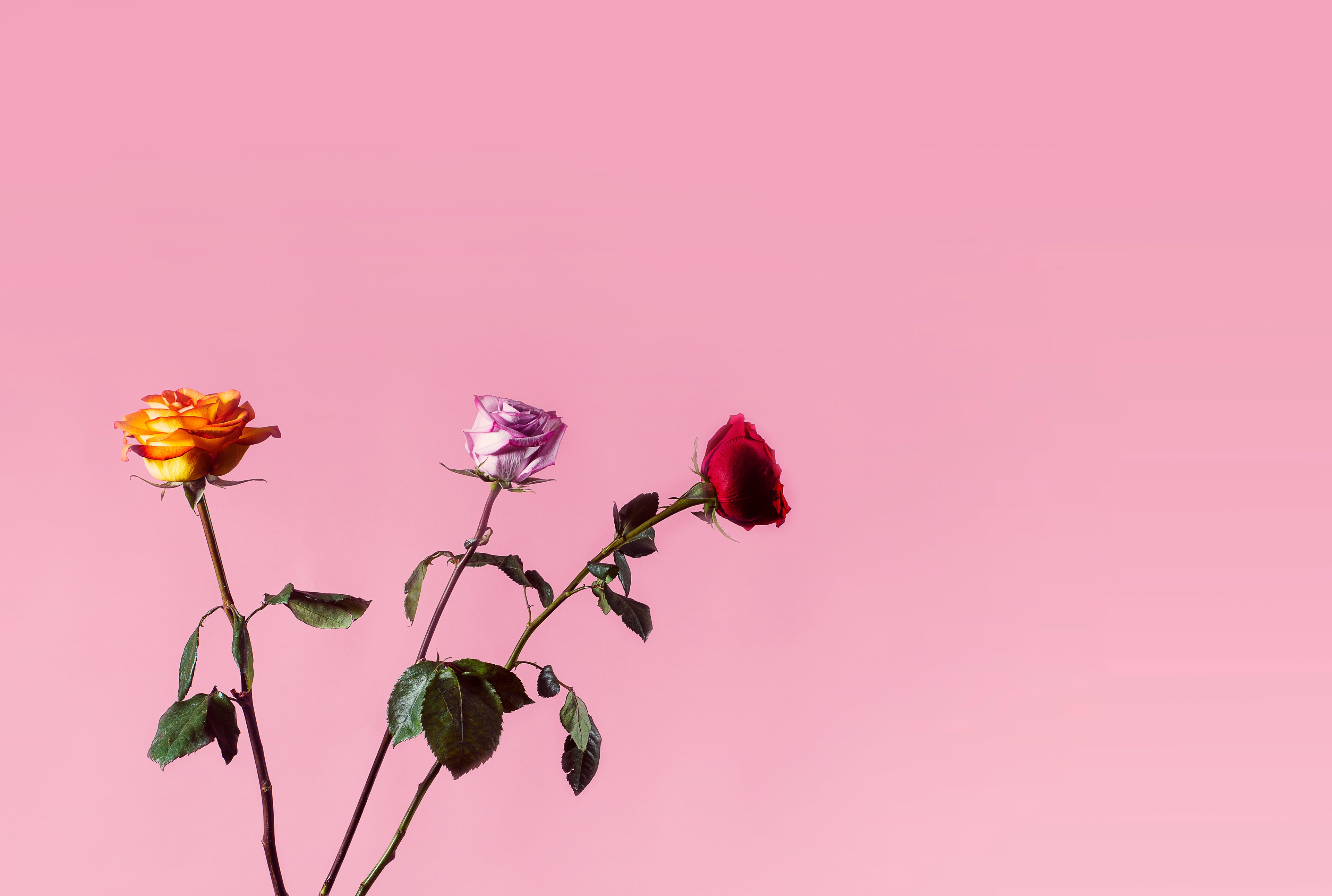 slider image slider_item_iRBf8t